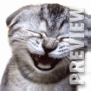 ��������� ���