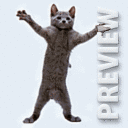 ���-��������