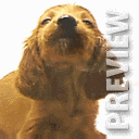 ����� ����� ����� �����-2