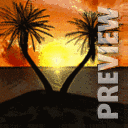 ��� ������