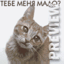 Тебе меня мало?