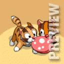 Два играющих кота