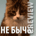 не бычь!