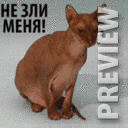 не зли меня!