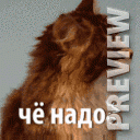 чё надо?