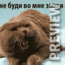 не буди во мне зверя