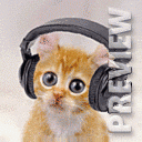 Кот рыжий колбасер