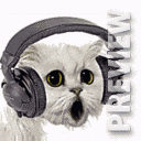 Кот фанат