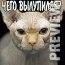 Чего вылупился?