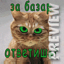 За базар ответишь!