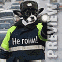 Не гони!!
