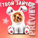 Зайчик