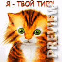 Я твой тигр