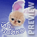 Йа Зайко