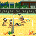    (Hawaiian Beach Volley)