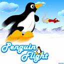   (Penguin flight)
