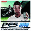 Профессиональный футбол 2008