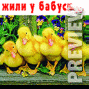 жили у бабуси