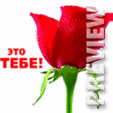 цветочек в подарок