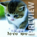Love me.. (Котёнок)