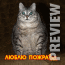ЛЮБЛЮ ПОЖРАТЬ!