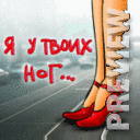 Я у твоих ног