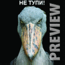 Не тупи!