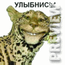 Улыбнись
