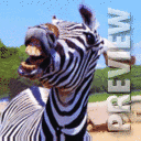 Прикольная зебра