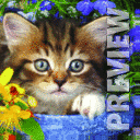 Котик в цветах