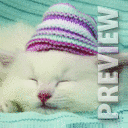 Котёна в шапке