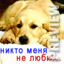Никто меня не любит