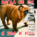 Я зол и нем