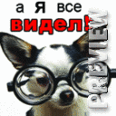 А я все видел!