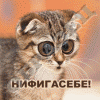 Иллюстрированные животные