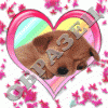 Разное