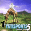 Yeti Sports 5: Flamingo Drive