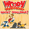 Woody Woodpecker -  
