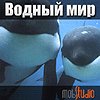 Слайдшоу