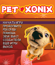 Xonix: 
