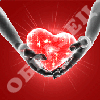 Обои