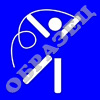 Летние виды спорта