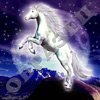 Обои