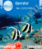 Красоты красного моря