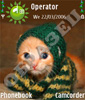 Забавный котенок